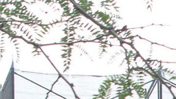 En 2024, el HPD ayudó a más neoyorquinos a mudarse a viviendas asequibles que nunca, conectando a 10,054 hogares con viviendas a través de más de 300 loterías.