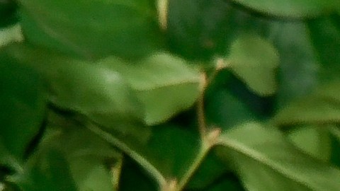 Zendaya protagoniza la serie 'Euphoria', uno de los mayores éxitos de HBO.