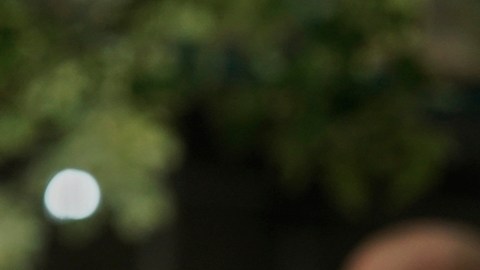 Zohran Mamdani acepta participar en foro televisado tras levantarse suspensión de Jimmy Kimmel