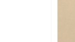 Jamie Manuel Pérez, salvadoreño detenido en NY.