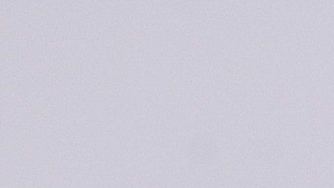 Anna Kournikova fue captada mientras realizaba compras en compañía de su hijo Nicholas.