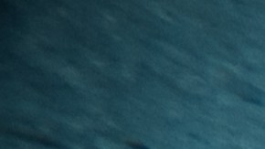 Durante los 29 minutos bajo el agua, el atleta permaneció inmóvil en el fondo de la piscina, ya que cualquier movimiento muscular aumenta el consumo de oxígeno y reduce el tiempo disponible.