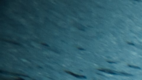 Durante los 29 minutos bajo el agua, el atleta permaneció inmóvil en el fondo de la piscina, ya que cualquier movimiento muscular aumenta el consumo de oxígeno y reduce el tiempo disponible.
