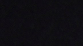 apoyo-directo-cheque-de-estimulo-nueva-york-septiembre-2025