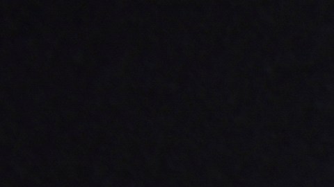 apoyo-directo-cheque-de-estimulo-nueva-york-septiembre-2025