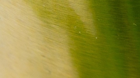 Expertos aseguran que el atún enlatado tiene más beneficios que riesgos.