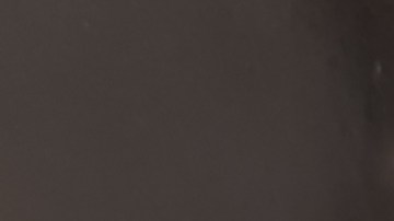 bagre-asiatico-advertencia