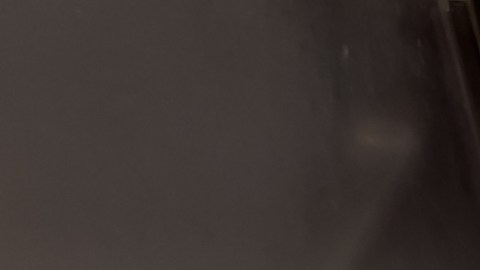 bagre-asiatico-advertencia