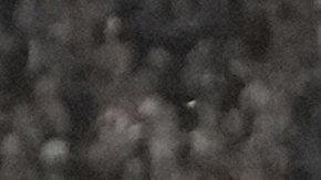 Jugadores del Bayern Múnich celebran tras un autogol del Chelsea.