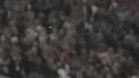 Jugadores del Bayern Múnich celebran tras un autogol del Chelsea.