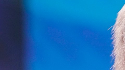 Netanyahu reafirmó que no permitirá un Estado palestino y amenaza con “responder”