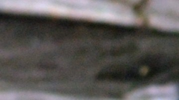 billetes-2-dolares-numismatica