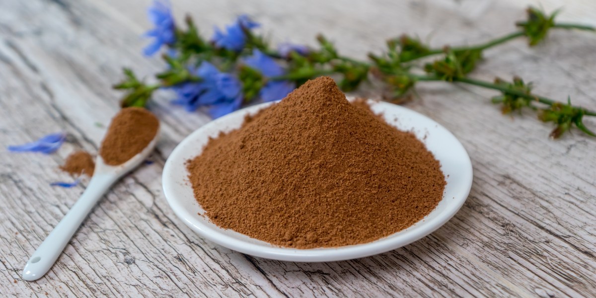 Café de achicoria: De "café de los pobres" a alternativa saludable