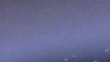 Terence Crawford castigó duramente a 'Canelo' Álvarez.