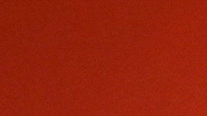 El Global Citizen Festival 2025 será presentado por el actor Hugh Jackman y contará con varias actuaciones.