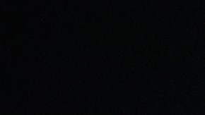 Con apenas 18 años, en 2012, cofundó Turning Point USA, en las afueras de Chicago.