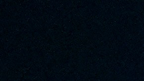 Durante la primera campaña presidencial de Trump, Charlie Kirk emergió como figura clave para movilizar el voto joven.