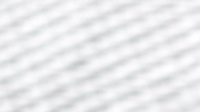 El eugenol es el componente activo del clavo de olor.