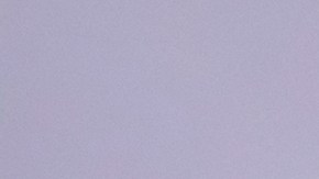 Según las imágenes, el cocodrilo llegó a morder al influencer, que luego le sujetó del cuello.