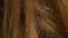 costco-muestras-gratis