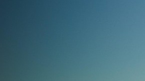 Las conexiones van más allá de la pasión.