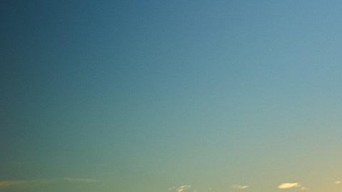 Las conexiones van más allá de la pasión.