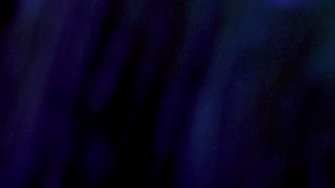 Noboa convoca a referéndum sobre retorno de bases militares extranjeras en Ecuador