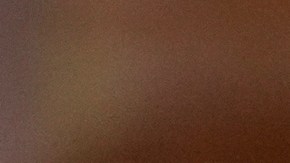 Vicepresidenta de Venezuela confirmó envío de carta a Donald Trump para "dialogar"