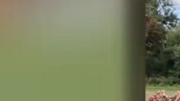 La joven intentó obtener una orden de protección contra su exnovio.