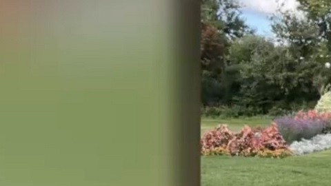 La joven intentó obtener una orden de protección contra su exnovio.