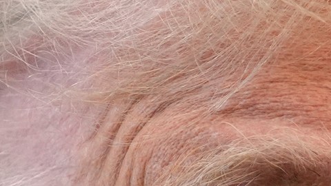 Donald Trump descarta haber discutido un “cambio de régimen” en Venezuela