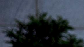 Despligue de la Guardia Nacional en el Distrito de Columbia