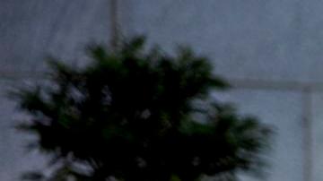 Despligue de la Guardia Nacional en el Distrito de Columbia