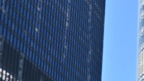 Protestas masivas contra Trump en el Día del Trabajo: "Está destrozando nuestro país"