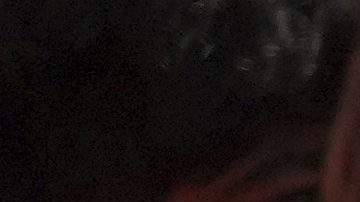 Aficionados de los Cincinnati Bengals animan al equipo durante un partido de fútbol americano de la NFL contra los Jacksonville Jaguars.