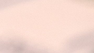 fraude-seguro-social-nueva-jersey-madre