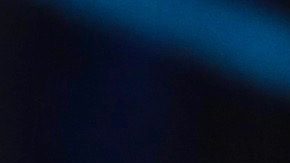 Aunque Galilea se quedó con las ganas del recuerdo junto a DiCaprio, sí consiguió posar con Benicio del Toro.