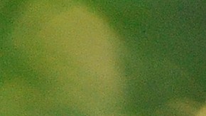 Varias mujeres denunciaron haber sido manoseadas por Busey durante una sesión de fotos en Monster Mania.