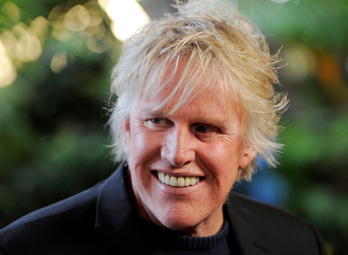 Gary Busey es sentenciado a dos años de libertad condicional tras conducta sexual inapropiada