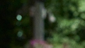 Hamás niega bloquear alto el fuego y acusa a Netanyahu tras discurso de Trump en la ONU