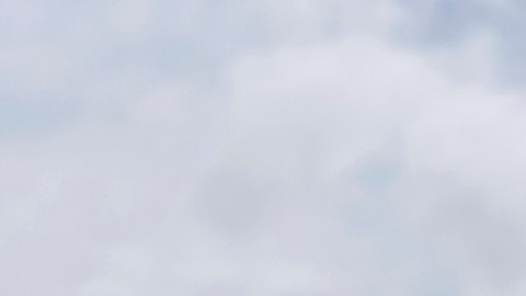 Congresista republicano descarta despliegue de la Guardia Nacional en Miami