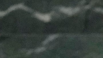 EE.UU. revocó visa a Gustavo Petro por instar a los soldados estadounidenses a desobedecer a Trump