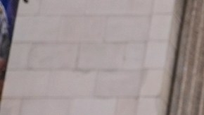 Algunos republicanos advirtieron sobre un riesgo de censura