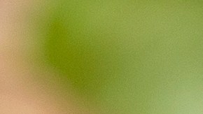 El jugo de remolacha ayuda a mejorar la presión arterial, según un nuevo estudio.