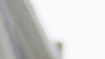 Más de 150,000 estadounidenses han solicitado unirse a ICE para "expulsar a los peores migrantes"