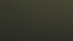 Anthony Martial durante un partido de FA Cup con el Manchester United.