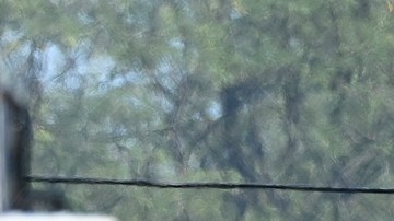 Tiroteo en iglesia de Míchigan: ocho heridos y dos muertos, el tirador entre ellos
