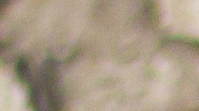 La conservación y certificación de una moneda antigua es lo que determina su valor en una subasta.