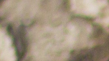 La conservación y certificación de una moneda antigua es lo que determina su valor en una subasta.