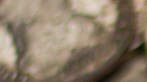 La conservación y certificación de una moneda antigua es lo que determina su valor en una subasta.